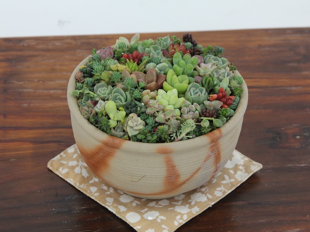 Z_̊񂹐A@ōɑA܂ܐA܂I