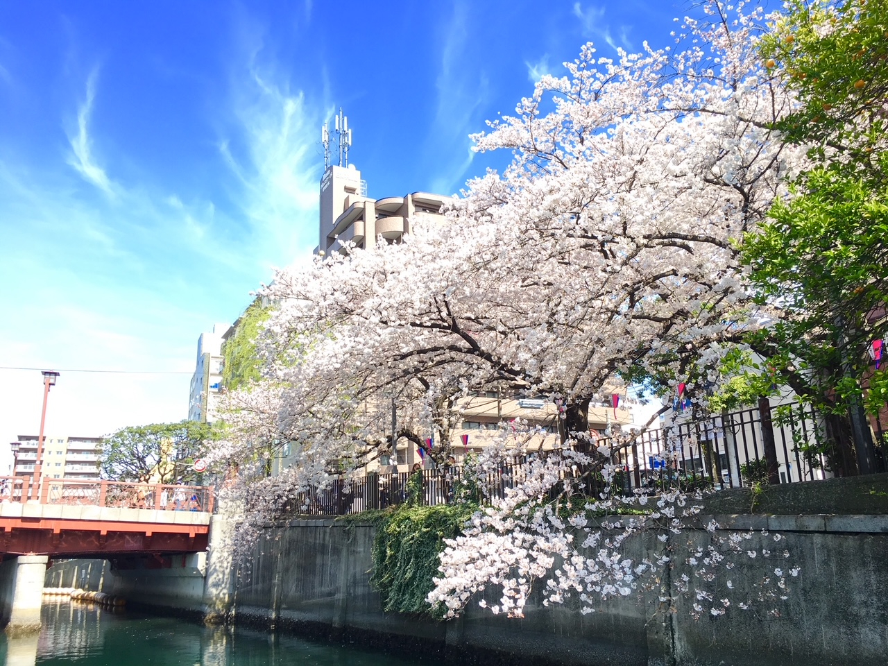 �剪������J��