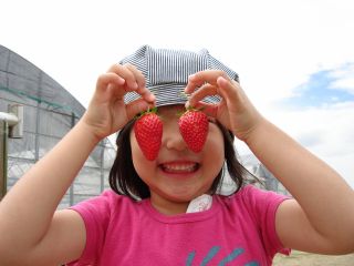 真っ赤なイチゴがたくさん待ってまーす!