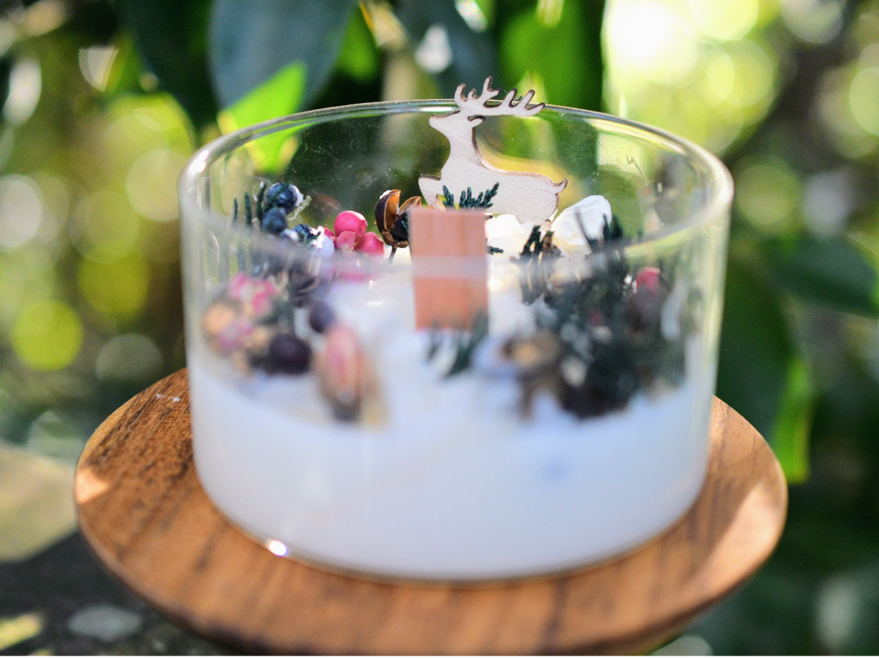 ql̍iiLTCYAؐc̓IvVjNX}XLhɂ҂B