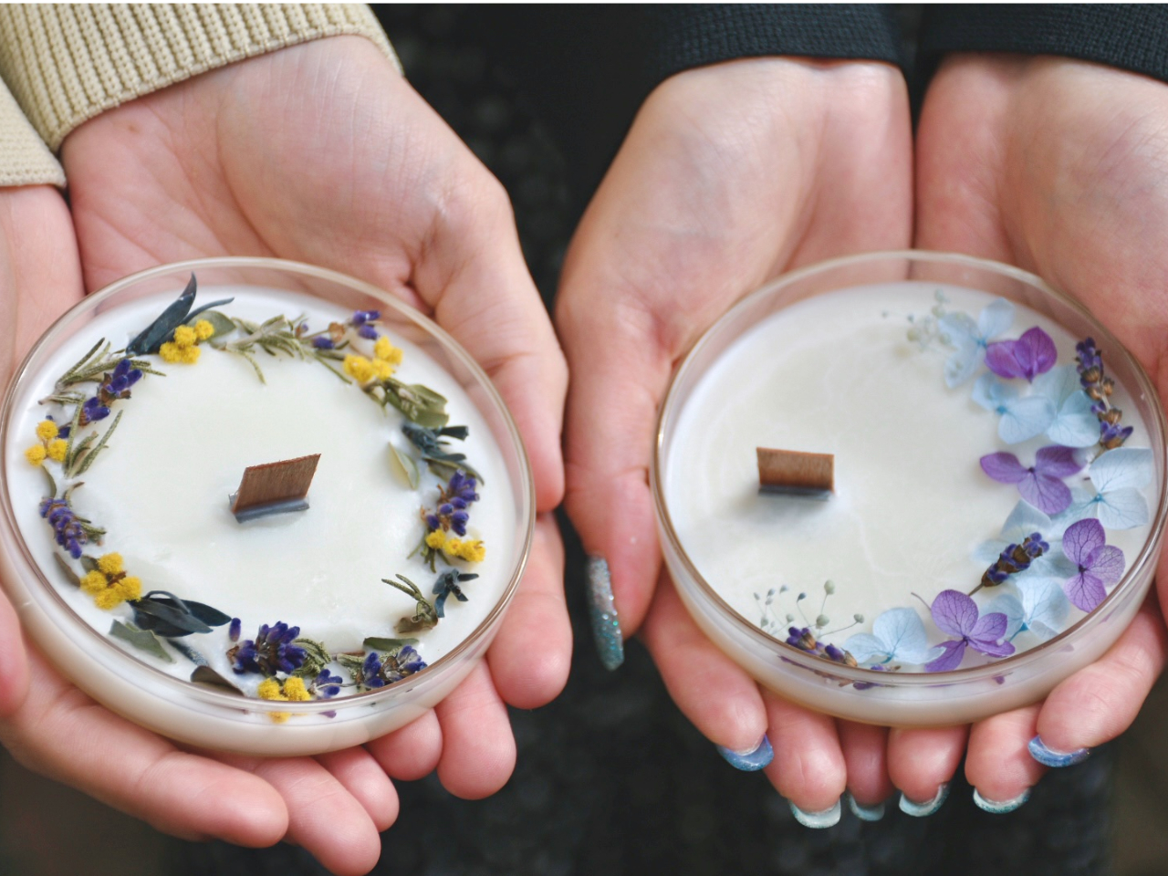 ql̍iiSTCYAؐc̓IvVjdԂƁB[X^NZg^ADȃfUCIׂ܂B