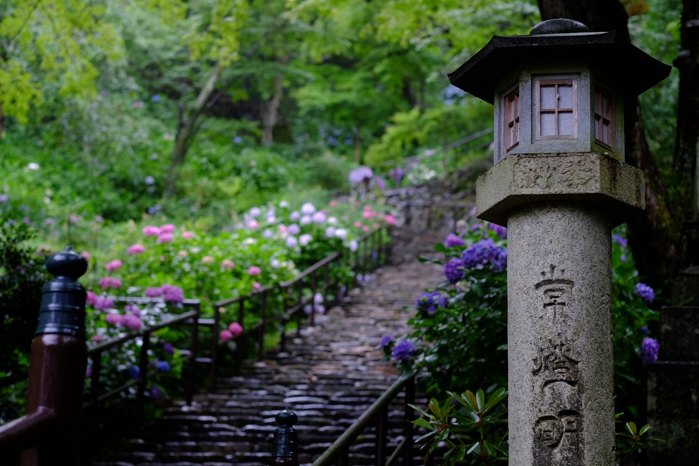 25 長谷寺 ご本尊特別拝観とオオニシ恭子氏による やまと薬膳 ランチ 一般財団法人奈良県ビジターズビューロー じゃらん遊び体験