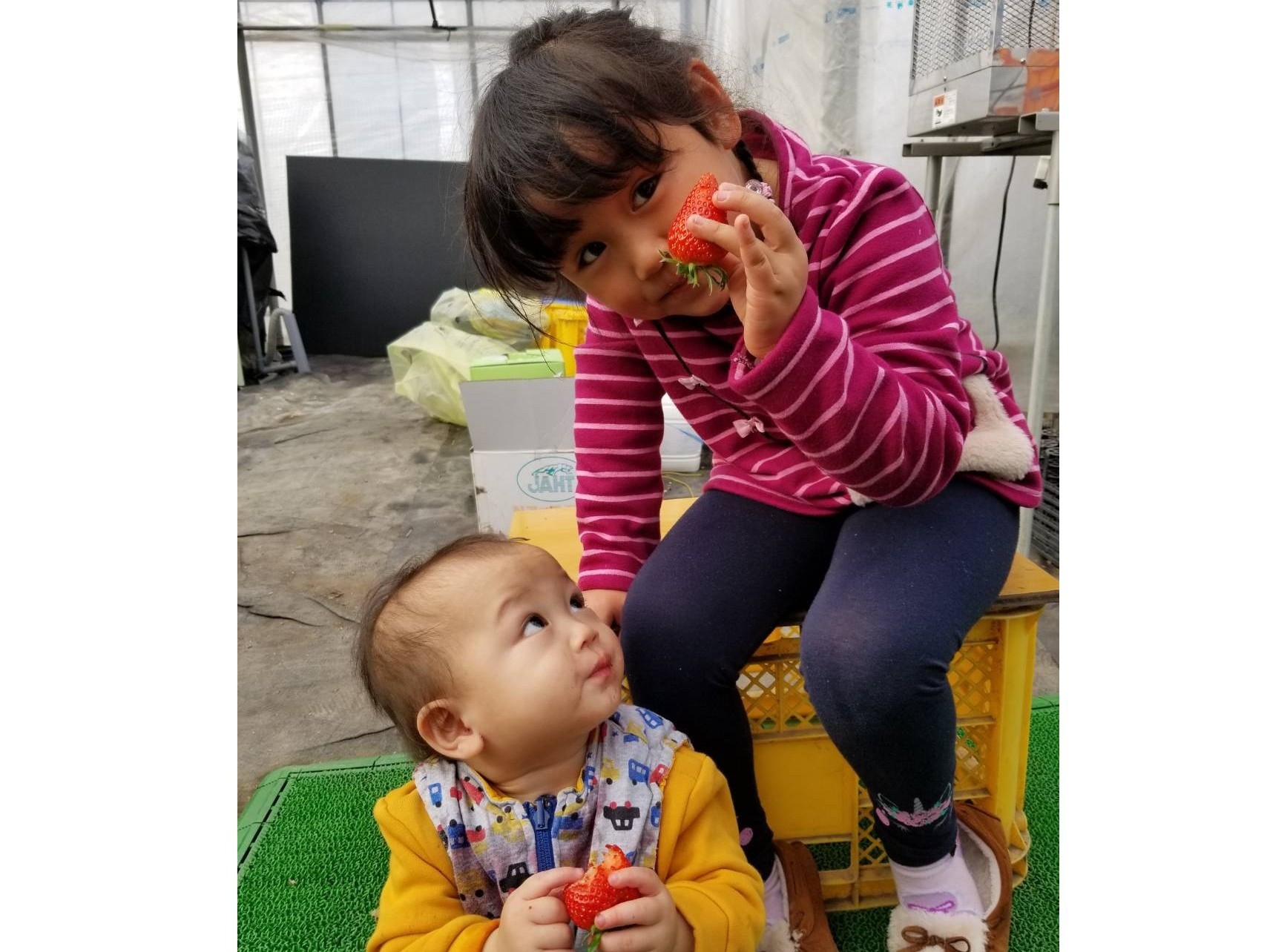 �t�@�~���[�E�J�b�v���E���F�l�Ɓ�F�l�̂����������҂����Ă���܂��I