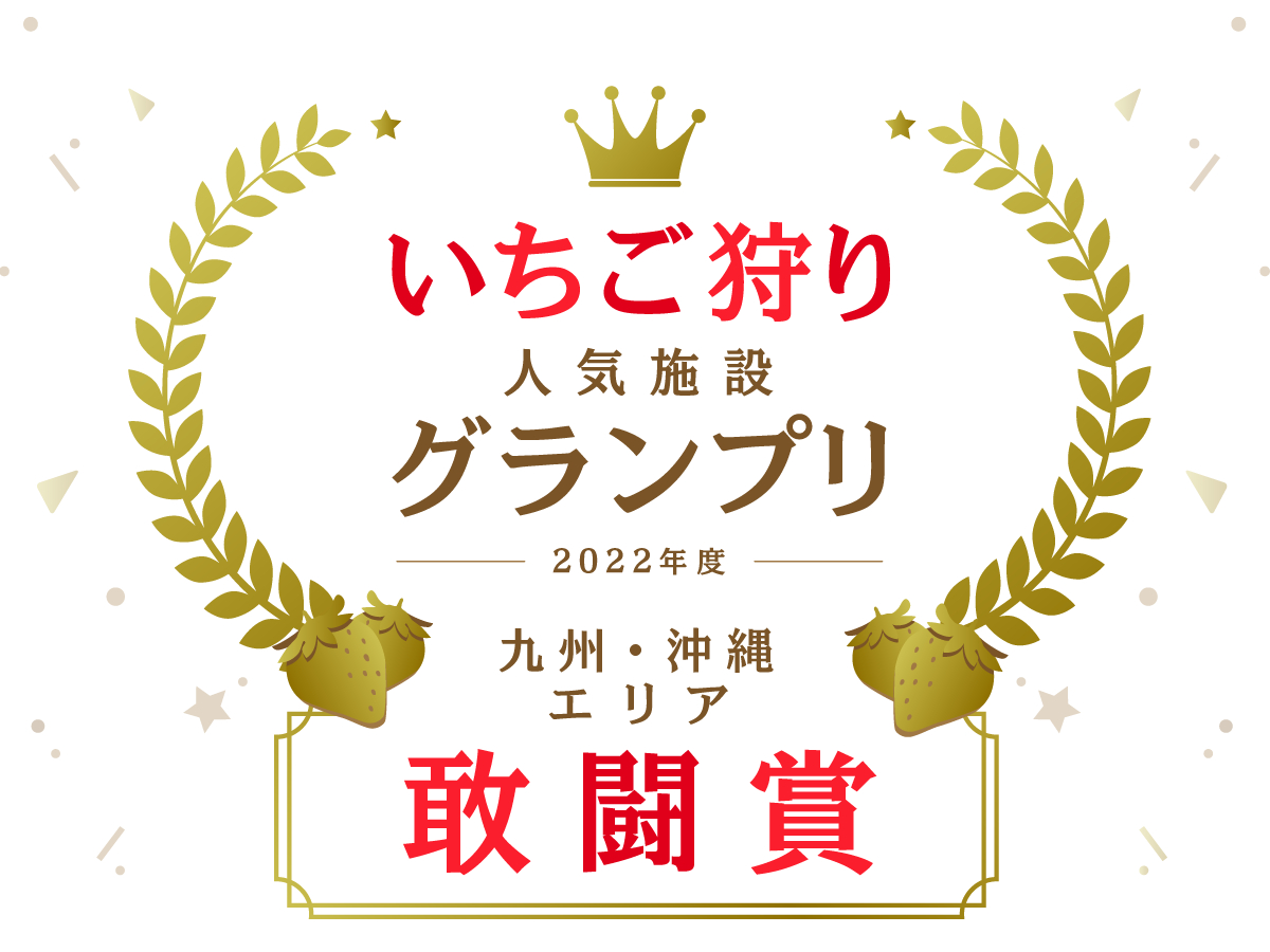 いちご専門の観光農園「片平観光農園」で30分いちご食べ放題♪
※当日のコースの変更はできません。
全棟高設栽培でしゃがまず楽ちん♪
いちご狩り期間は天敵利用の減農薬農法のいちごを摘みたててでどうぞ♪