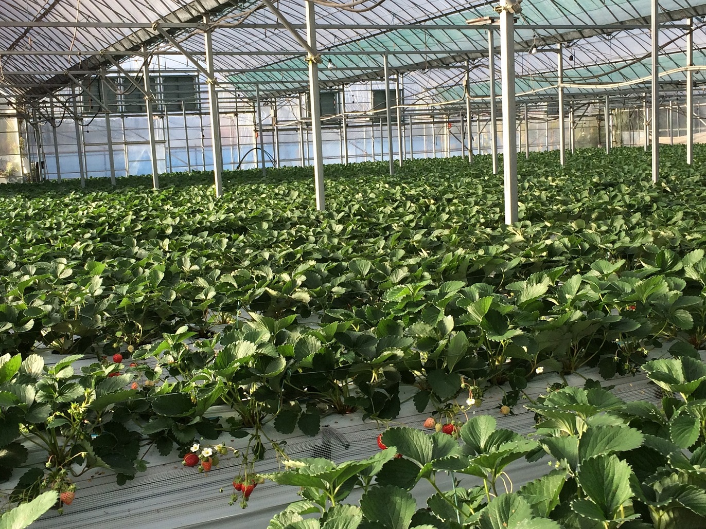 �n�E�X�̒��͉������Ȃ��Ă��܂�