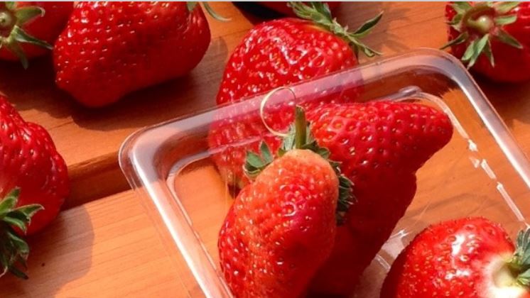 ���������ς������オ���Ă�������