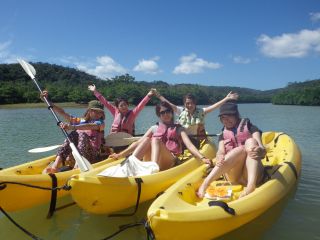 壮大なマングローブを満喫しよう♪