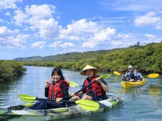 慶佐次川の穏やかな流れの中を、青空の下でゆったり楽しめるマングローブカヤック。初心者の方や女性にも人気の、開放感あふれる体験です。