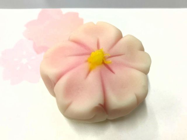 季節の練りきり和菓子 手鞠庵 じゃらん遊び体験 季節の練りきり和菓子 手鞠庵 じゃらん遊び体験