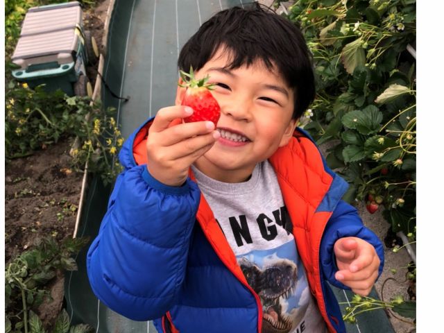 甘くておいしい苺ににっこり♪