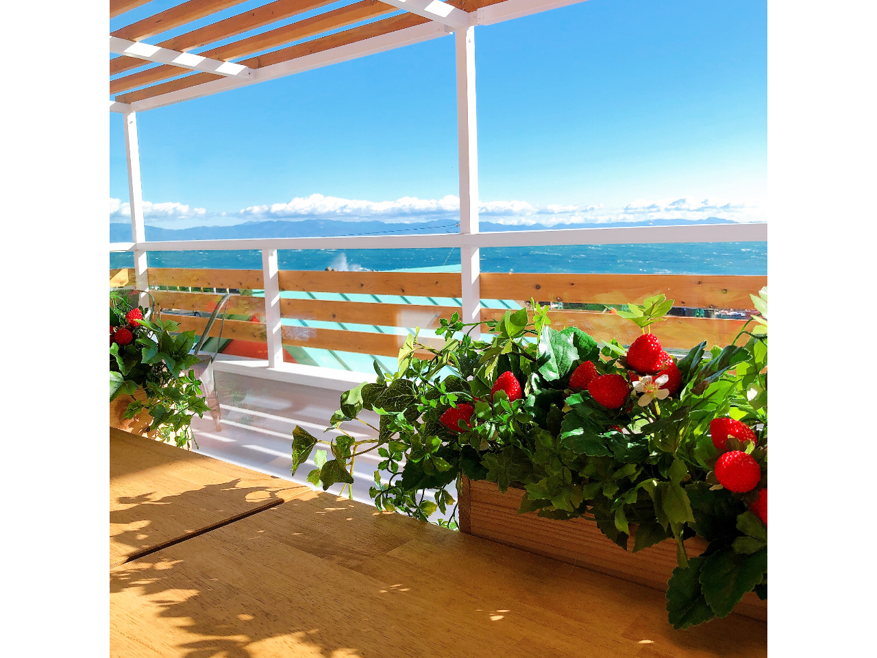 X2ǨiFōłÎXC[c\Ă