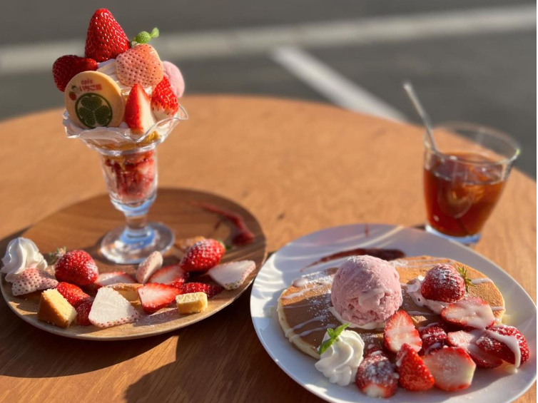 JtF͔NcƂĂ܂􂻂̋G߂ɂptFpP[Lj[pӂĂ܂̂ŁAЂ肭