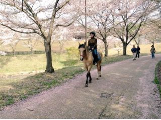 お馬さんを操り園内をお散歩