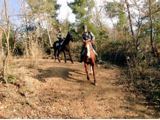 山道をお馬さんで駆け巡る