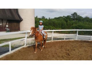 1人でもしっかり乗れるよ♪