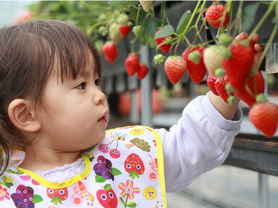 5月10日 5月31日 いちご狩り 40分 まるでいちごのデパート 約8種類 珍しい白いちごも コロナ対策実施中 九州最大級の広さ まるで いちごのデパート 筑紫野インターより 筑紫野いちご農園 じゃらん遊び体験 5月10日 5月31日 いちご狩り 40分 まるでいちごのデパート 約8種類 珍しい白いちごも コロナ対策実施中 九州最大級の広さ まるで いちごのデパート 筑紫野インターより 筑紫野いちご農園 じゃらん遊び体験