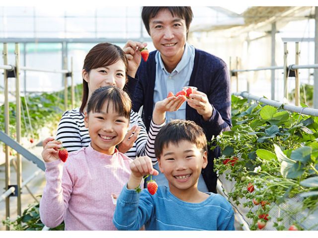 ご家族やご友人・ご夫婦・カップルでぜひお越しください♪