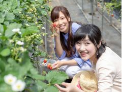 ご家族やご友人・ご夫婦・カップルでぜひお越しください♪