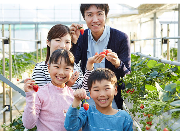 ���Ƒ��₲�F�l�E���v�w�E�J�b�v���ł��Ђ��z������������