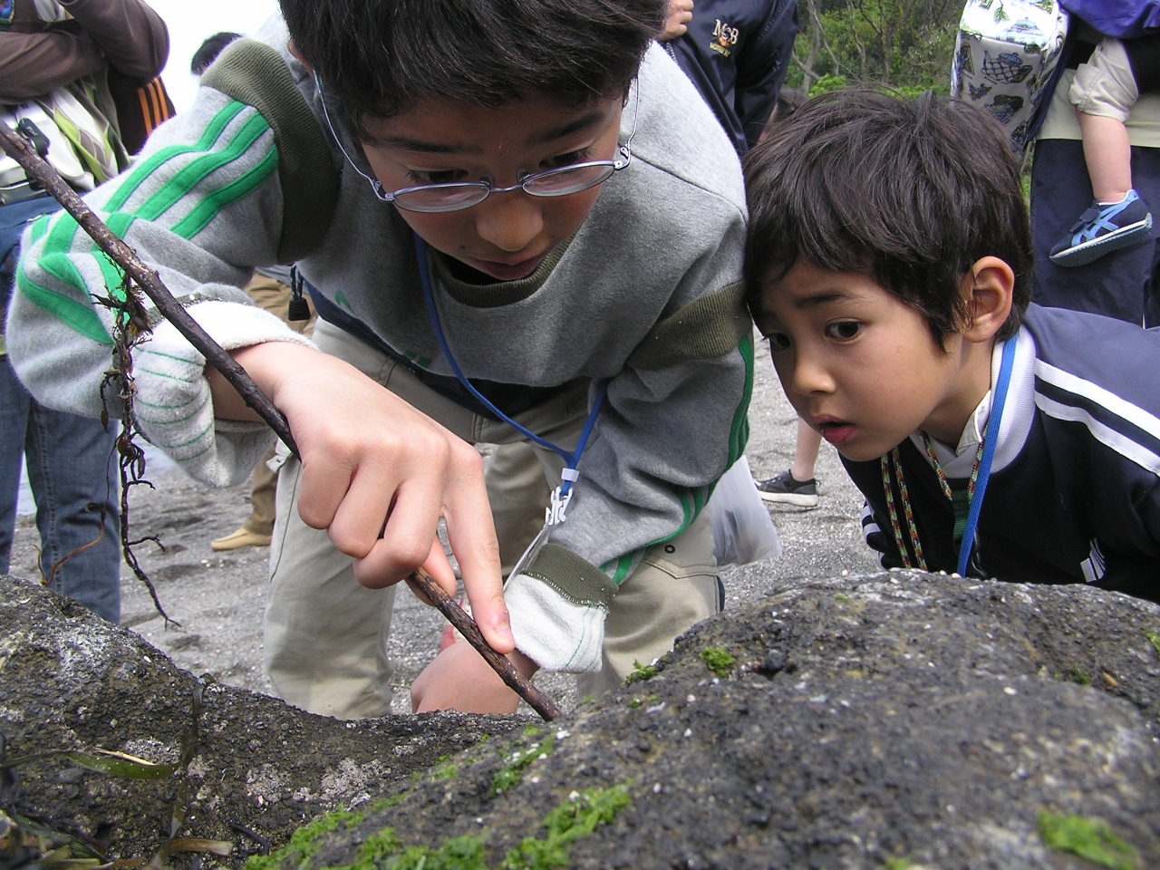 �������������V�т̃`�����X�I