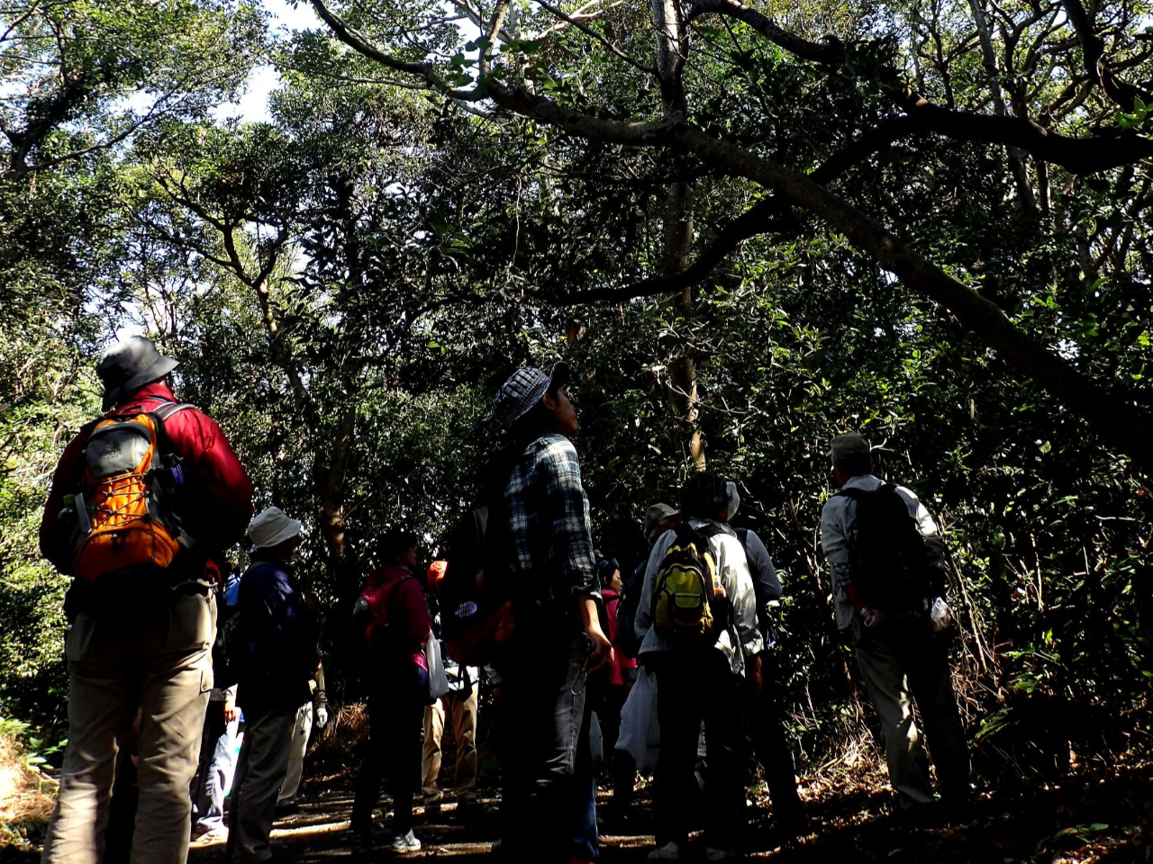 �X�̕���𕷂��Ă݂悤��