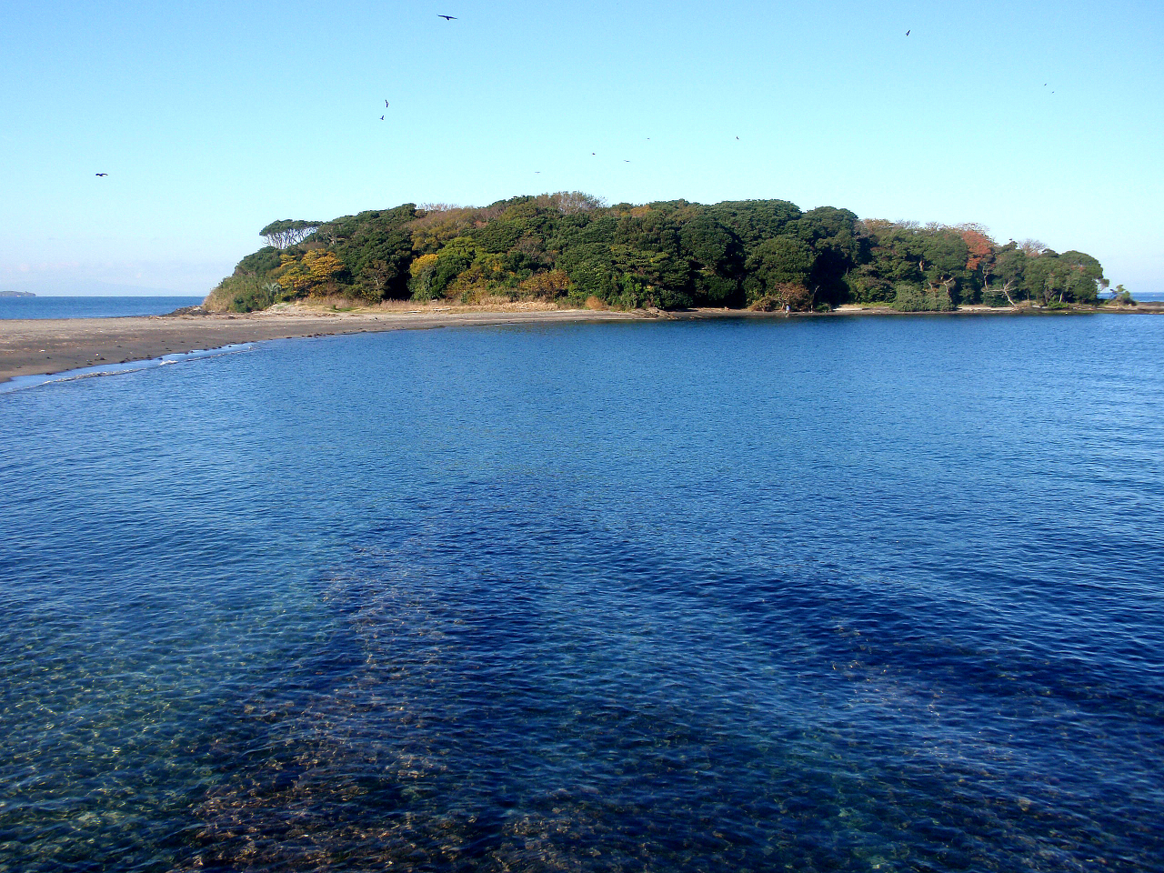 �������m���֖`���ɏo�����悤��