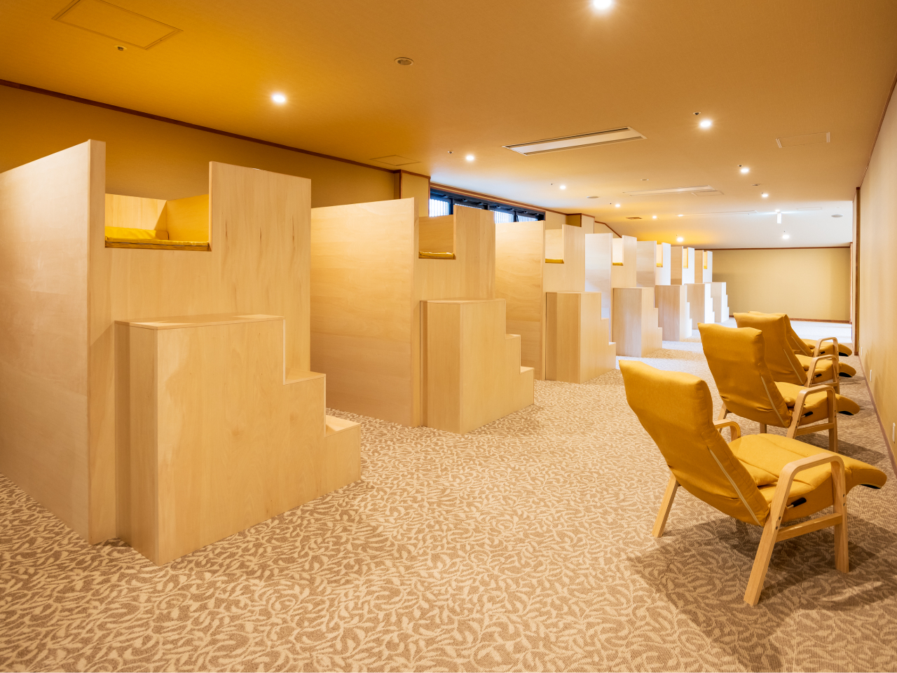 �X�̓�(����G���A)�́A2025�N�Ƀ��j���[�A���I���r�[�E���x�ݏ����V�����Ȃ�܂����I