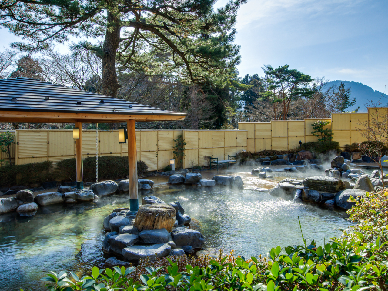 ���l�b�T���ŗV�񂾌�́A�X�̓��ցI2025�N3���Ƀ��j���[�A�����A���x�ݏ����[����