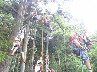 みんなでツリークライミング体験 樹上から鳥の眺めを楽しもう!