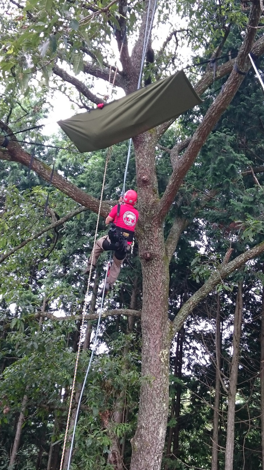 ؂̏ɃnbN̂悤ȃc[{[gɂ̂āAāAAώ@܂傤