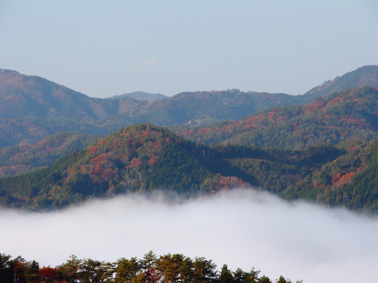 R̂ӂƂ̗R炿ƎRɓoƂȐiI