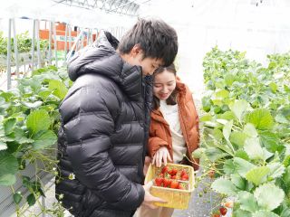 寒い時期や雨でもハウスの中はあたたかいので冬のお出かけやイベントにおすすめ♪