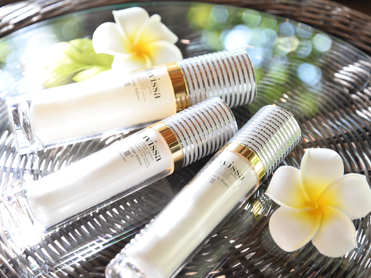 ҌfRXuRavissavgp R_́AZ͂̍XLPAV[YŁA̍ĐTCN𐮂Ă܂B