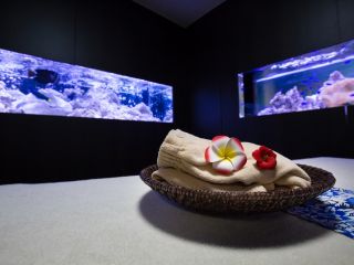 。お部屋には水槽を完備しており、沖縄の海を独り占めできる空間となっております。