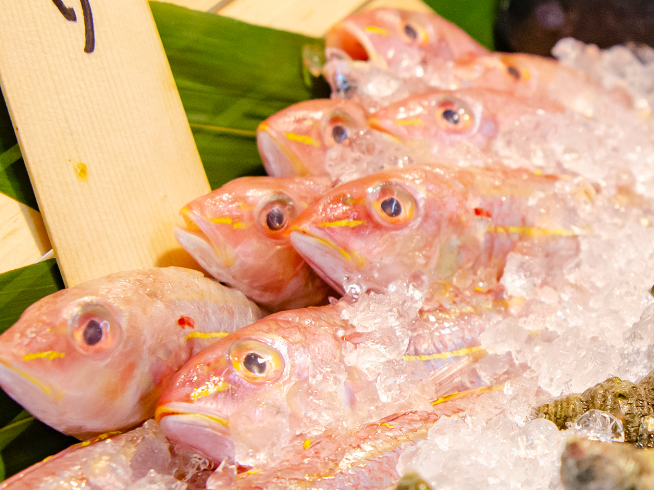 長崎産の海の幸をシェフが目の前で焼き上げる大好評のライブッキッチンコーナー!   (その日に獲れた新鮮な食材を使用するため、内容は当日のお楽しみ!)