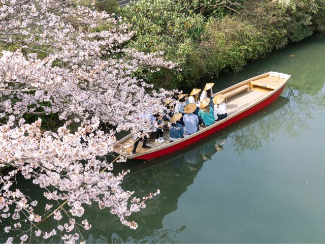 桜の川下り