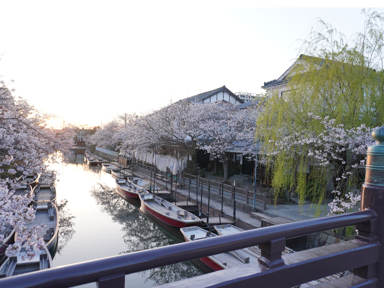 松月乗船場全景~春は桜がお客様をお迎え致します~