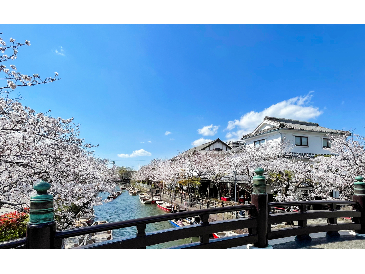 松月乗船場全景～春は桜がお客様をお迎え致します～