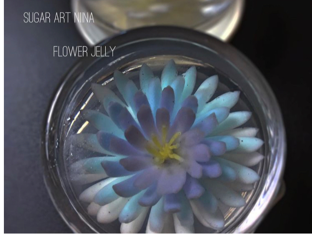 ≪毎月第4水曜日限定・1DAY体験プラン≫フラワーゼリーレッスン☆【開催場所:フ...