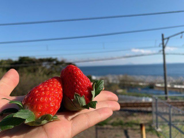 海と電車が間近に見れます!ロケーション抜群!!