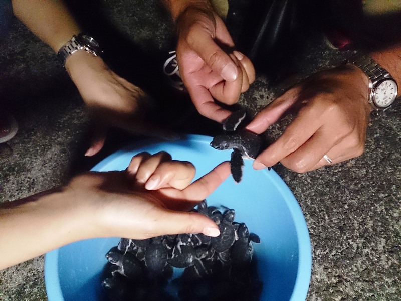 夏休みはこんな体験も