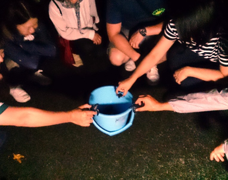 ご家族でも、グループでも、一人でも!!