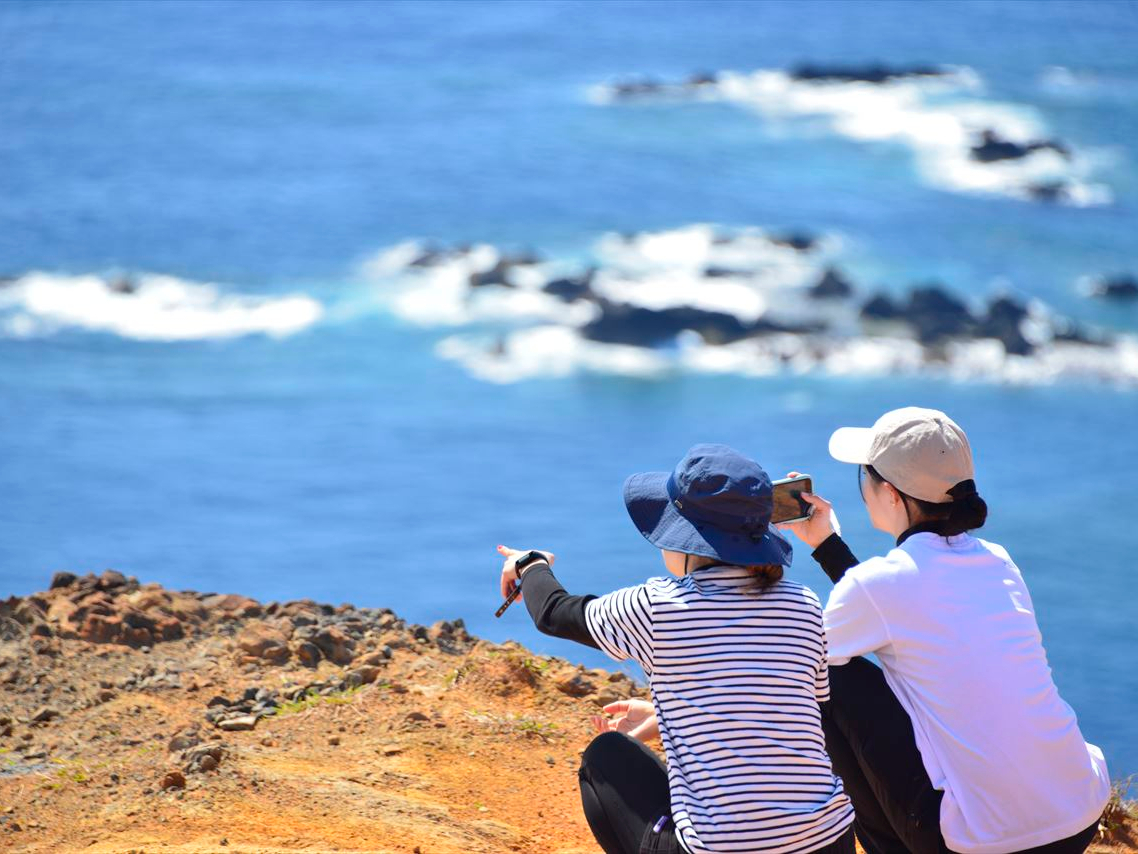 クジラが出たよ