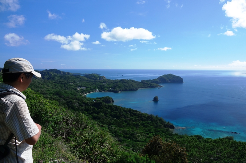 森を抜けると絶景も