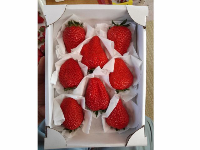 タイミングが良ければいちご狩りのハウスにもあります。