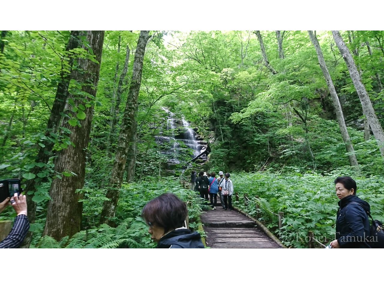 4月下旬～9月】 人気の＜奥入瀬渓流トレッキング＞体験 /ガイド