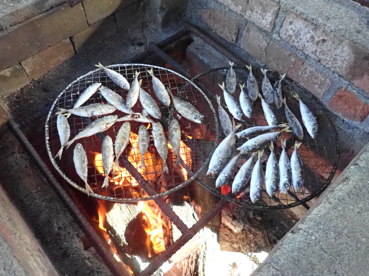 塩焼きも美味しーー!