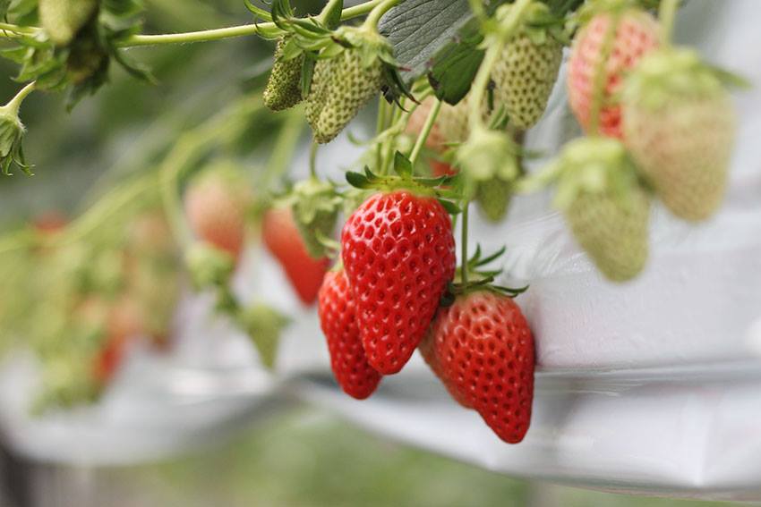 ̂܂܂ŏ\Âߗ͗pӂĂ܂B݂͉\łI