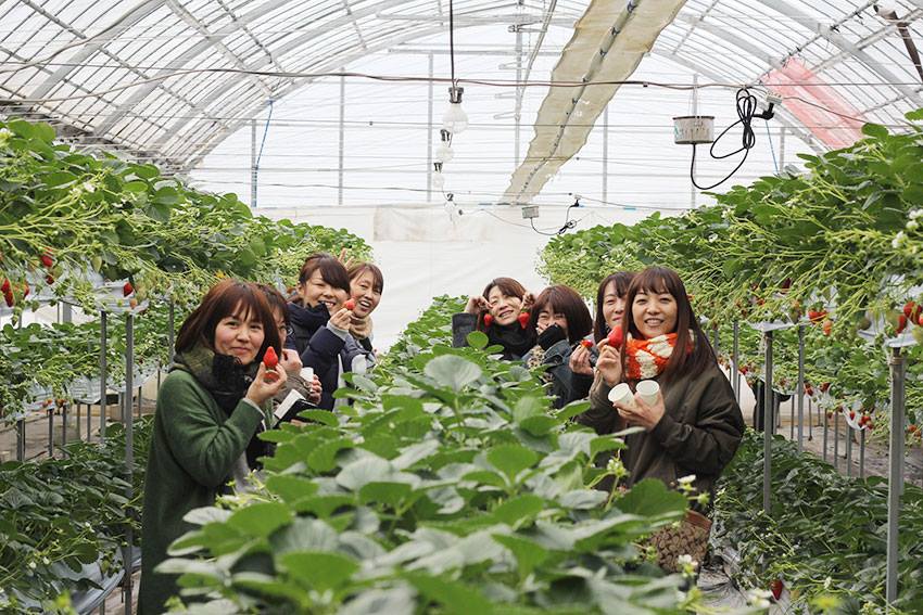 VC\mFAV󂪍D܂Ȃꍇɂ͒giDłzI]ɋ󂫂Η\̕ύX\ł̂ł₢킹I