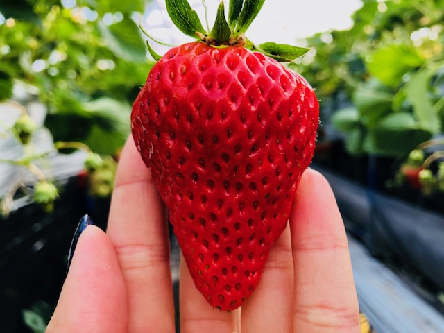 قǂ́A̎|Zkꂽ悤ȊÂƎ_̃oX̗ǂ́AxHׂYȂłB